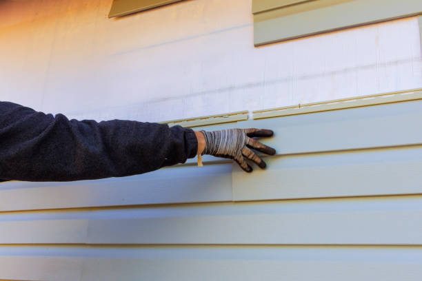 Best Custom Trim and Detailing for Siding  in Litchfield, MN